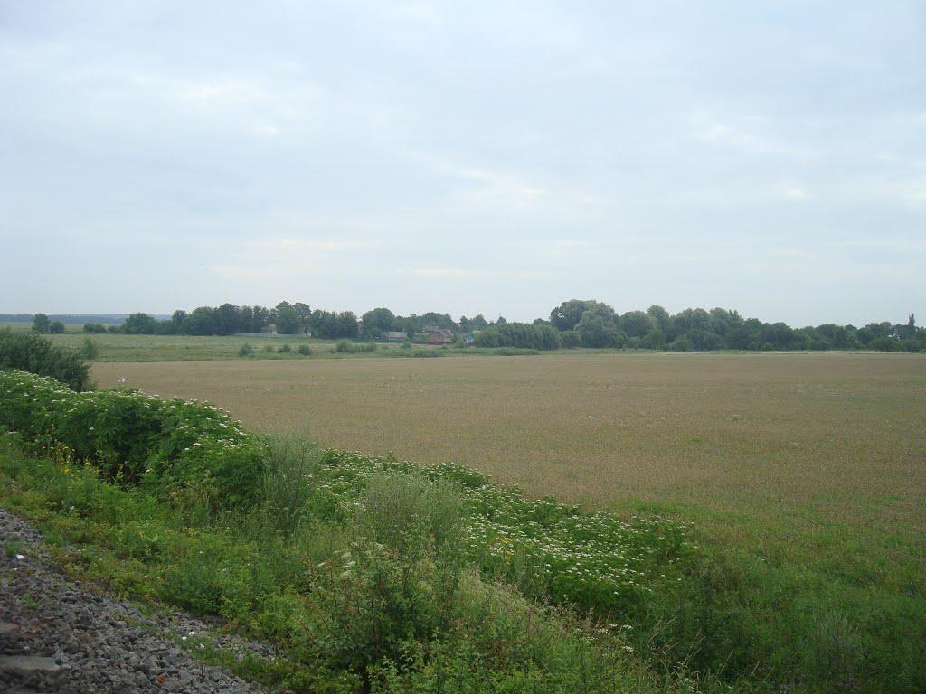 Сахкамінь з panoramio.com - Сахкамень