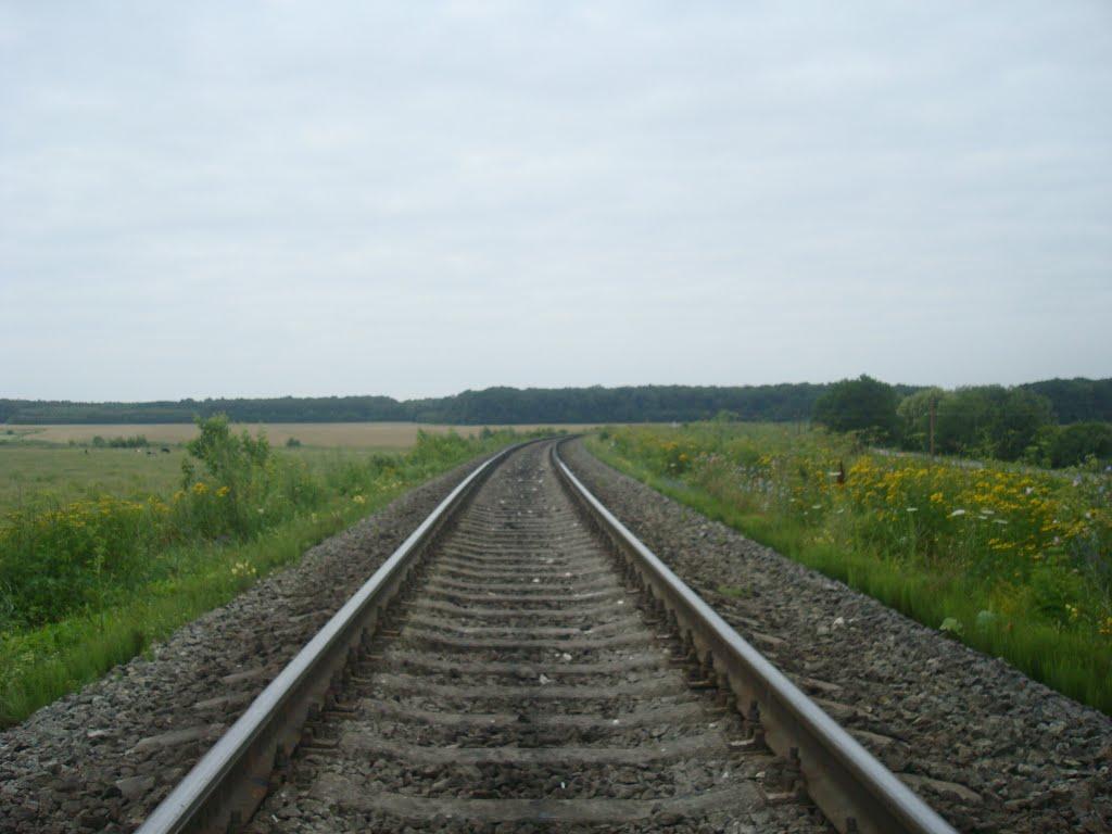 Сахкамінь з panoramio.com - Сахкамень