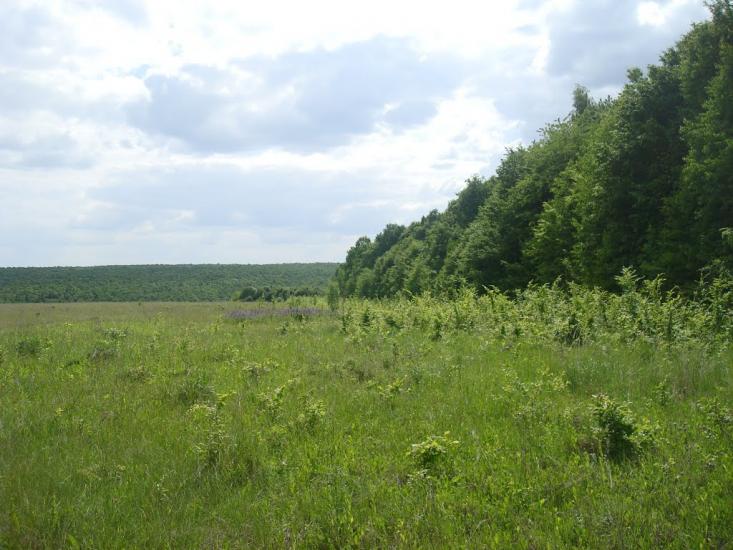 Мала Стружка з panoramio.com - Мала Стружка