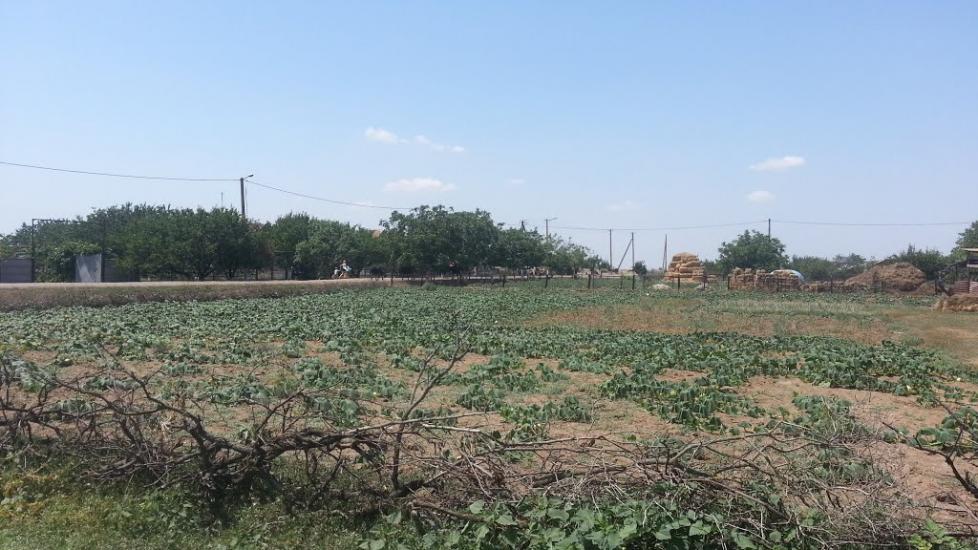 Атманай з panoramio.com - Атманай