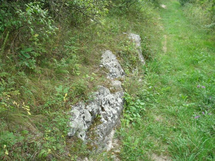 Вільховець з panoramio.com - Ольховец