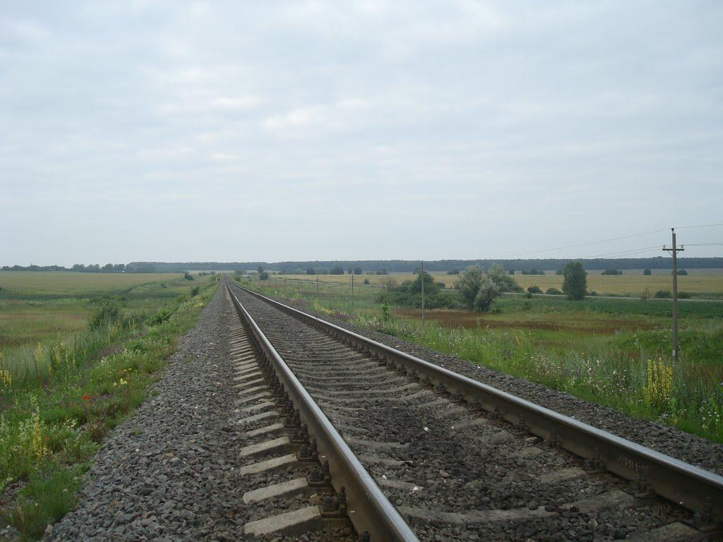 Стара Гута з panoramio.com - Старая Гута