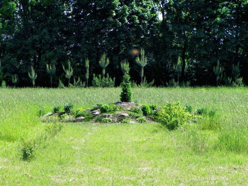 Заїзд з panoramio.com - Zayizd
