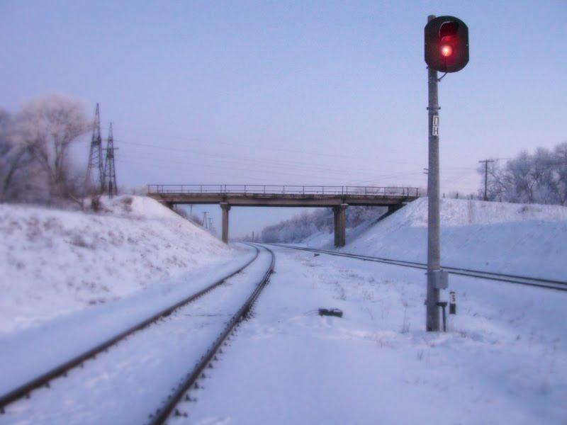 Пирогівці з panoramio.com - Pyrogivtsi