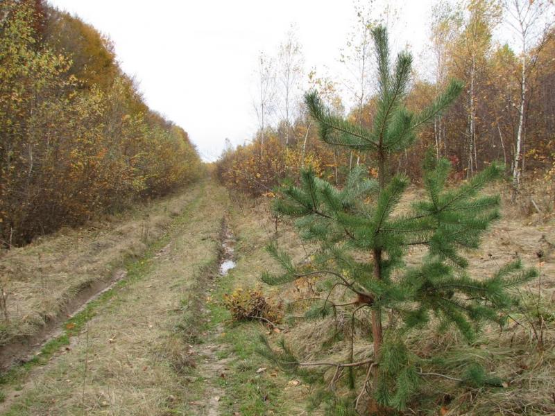Гавареччина з panoramio.com - Гавареччина