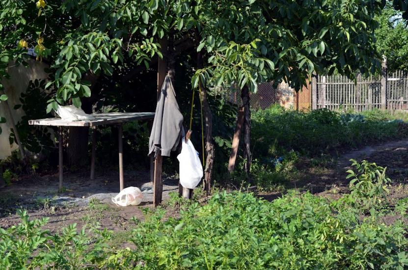 Мартусівка з panoramio.com - Мартусовка