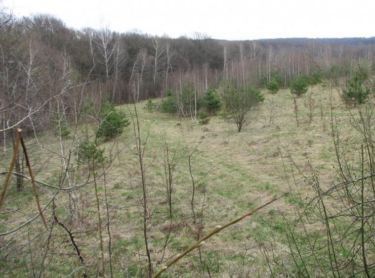 Гавареччина з panoramio.com - Гаваретчина