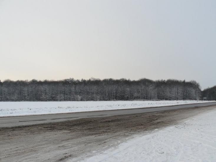 Копичинці з panoramio.com - Копычинцы