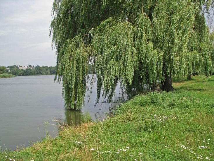 Кринички з panoramio.com - Кринички