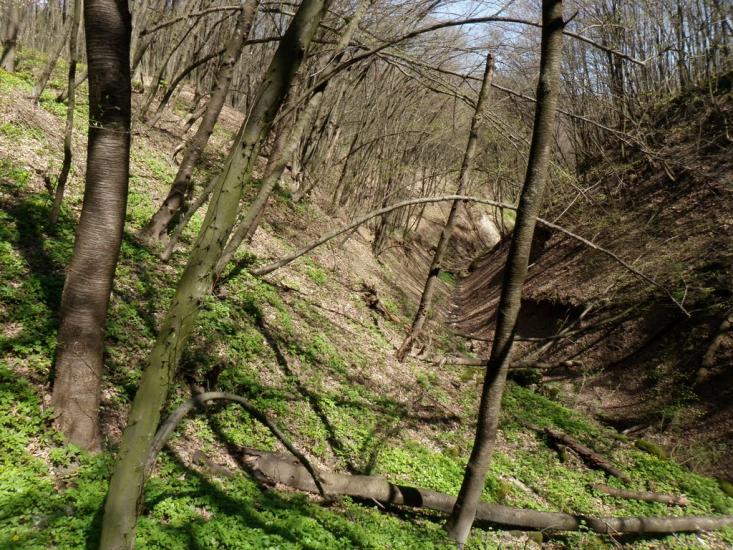 Врублівці з panoramio.com - Врублевцы