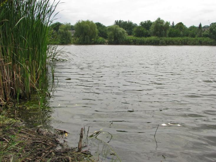 Кринички з panoramio.com - Кринички