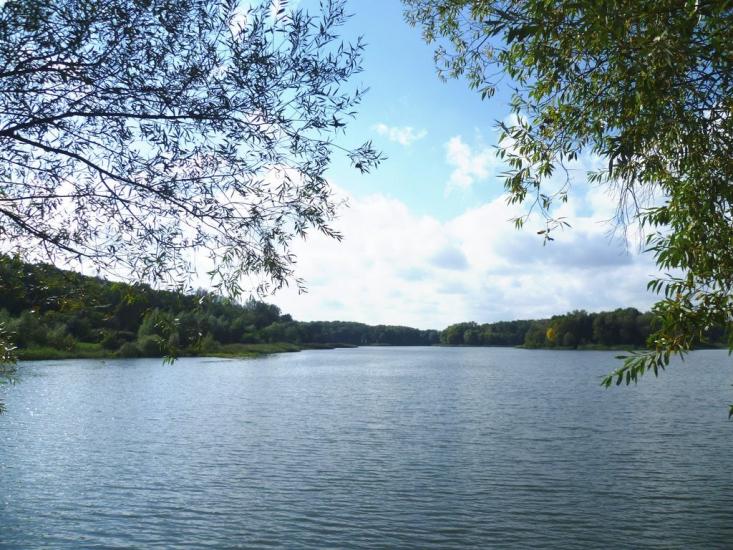 Малечковичі з panoramio.com - Малечковичи