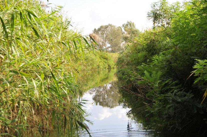 Кізомис з panoramio.com - Kizomys