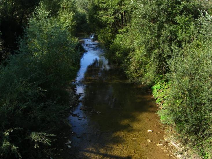 Старий Самбір з panoramio.com - Staryi Sambir