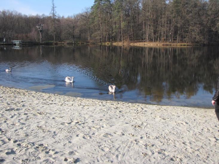 Басівка з panoramio.com - Басівка