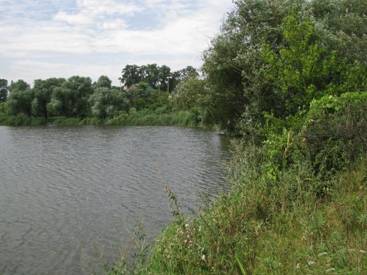 Кринички з panoramio.com - Кринички