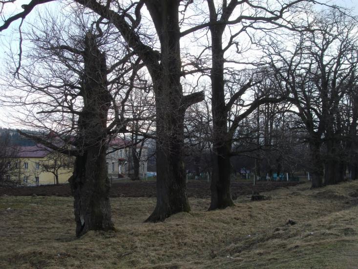 Созань з panoramio.com - Созань