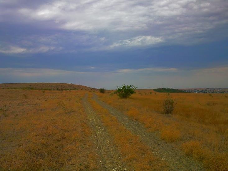 Каштани з panoramio.com - Каштани