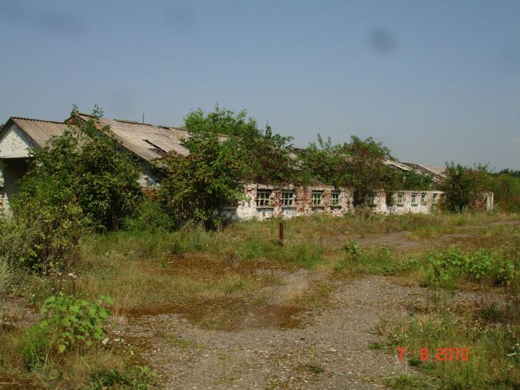 Динівці з panoramio.com - Диновцы