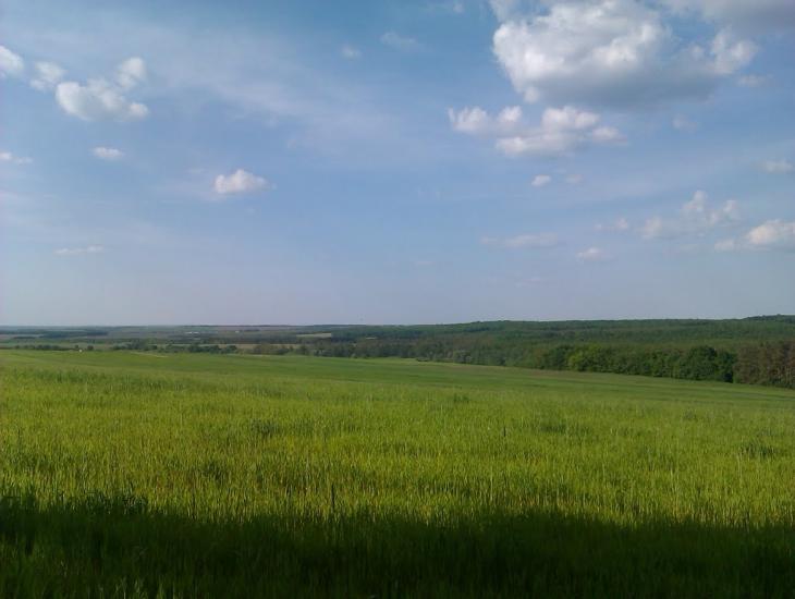 Журавка з panoramio.com