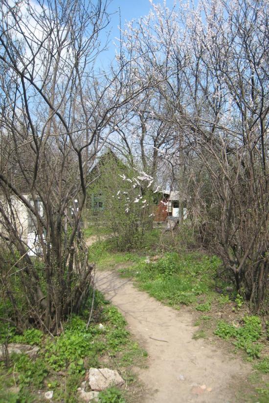 Мінеральне з panoramio.com - Мінеральне