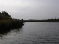 Рубанівське з panoramio.com