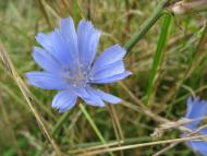 Весна на рідній землі