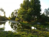 Льгів з panoramio.com