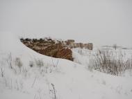 Василівка - Останні фото