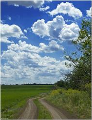 Катеринівка з panoramio.com