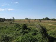 Нова Семенівка з panoramio.com