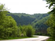 Суржинці з panoramio.com