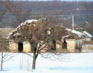 Бородаївка з panoramio.com