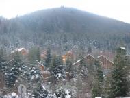 Берегомет з panoramio.com