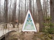 Салинці з panoramio.com