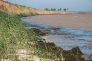 Преслав з panoramio.com - Preslav