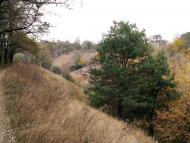 Ярове з panoramio.com