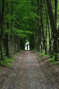 Гуща з panoramio.com