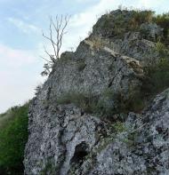 Русько-Орлівка з panoramio.com - Русско-Орловка
