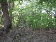 Ступаківка з panoramio.com