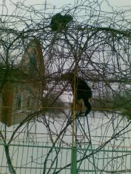 Дніпроенергія з panoramio.com