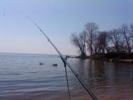 Червонодніпровка з panoramio.com