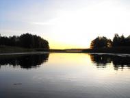 Гамарня з panoramio.com