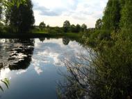 Михайло-Коцюбинське з panoramio.com