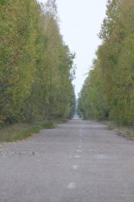 Малий Дивлин - Останні фото