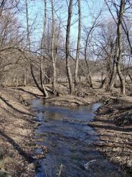 Півче з panoramio.com