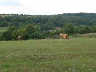 Суха Долина з panoramio.com