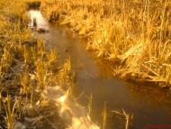 Вишняківка з panoramio.com