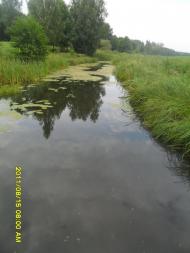 Ковалин з panoramio.com