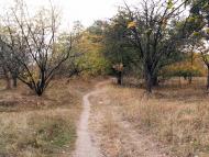 Ревівка з panoramio.com